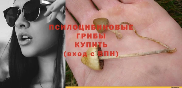 дживик Баксан