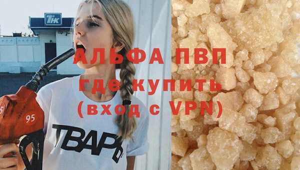 стаф Балахна