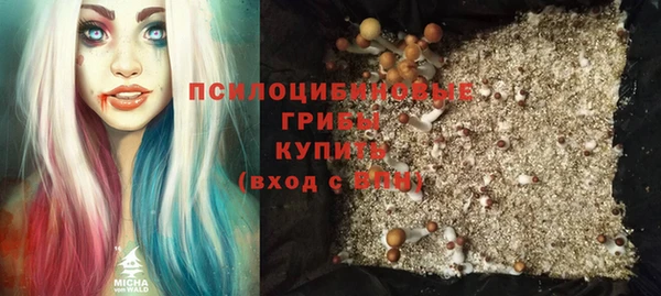 стаф Балахна