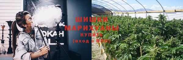 стаф Балахна