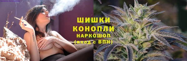стаф Балахна