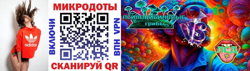 Купить где  Белогорск  Псилоцибиновые грибы Cubensis 